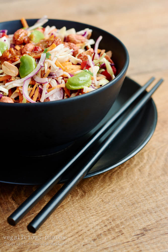 Stock photo of Asian cold noodle salad with a peanut satay sauce