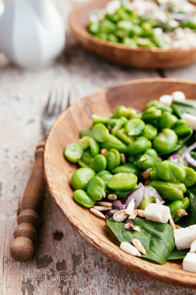 Stock photo of Fava Bean and Spinach Salad with a Tahini Dressing