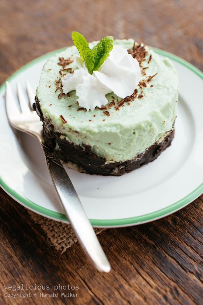 Stock photo of Grasshopper Pie