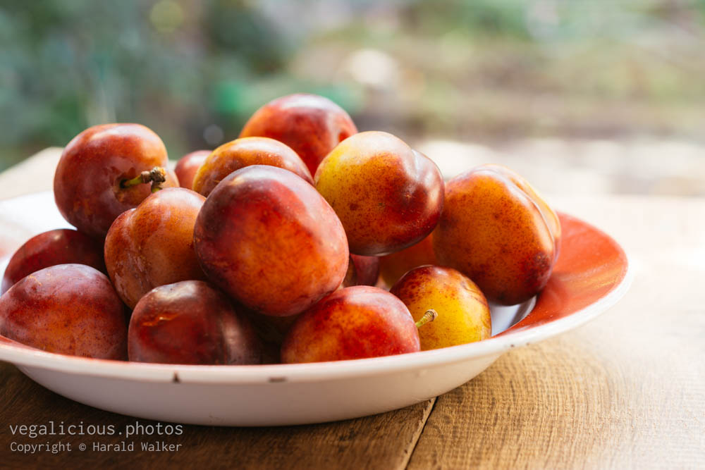 Stock photo of Fresh plums