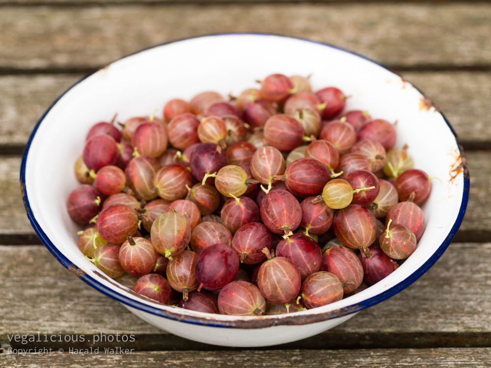 Stock photo of Fresh gooseberries