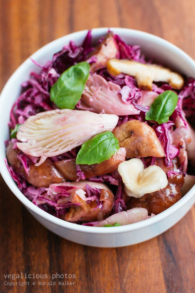 Stock photo of Mushroom and red cabbage salad with yogurt dressing