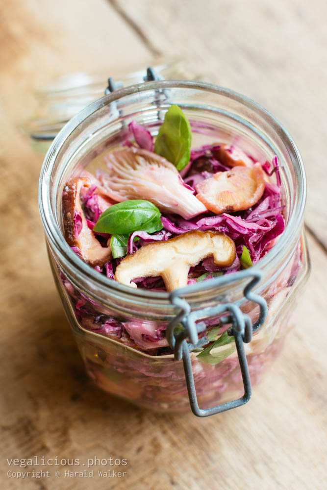 Stock photo of Mushroom and red cabbage salad with yogurt dressing