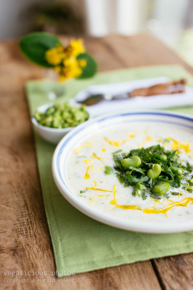 Stock photo of Yogurt & Fava Bean Soup