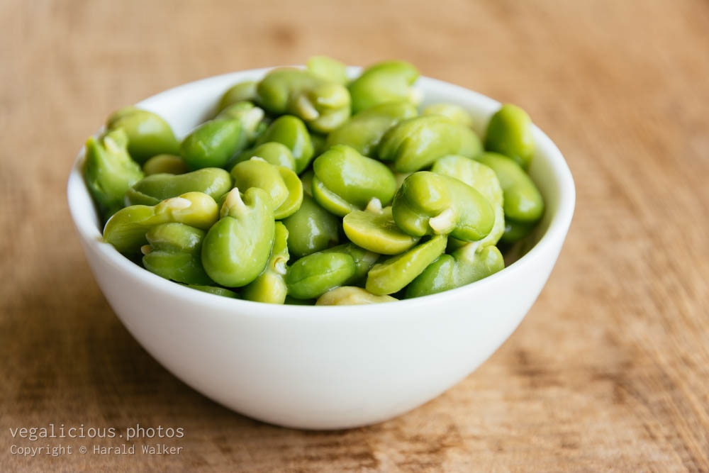 Stock photo of Vicia faba