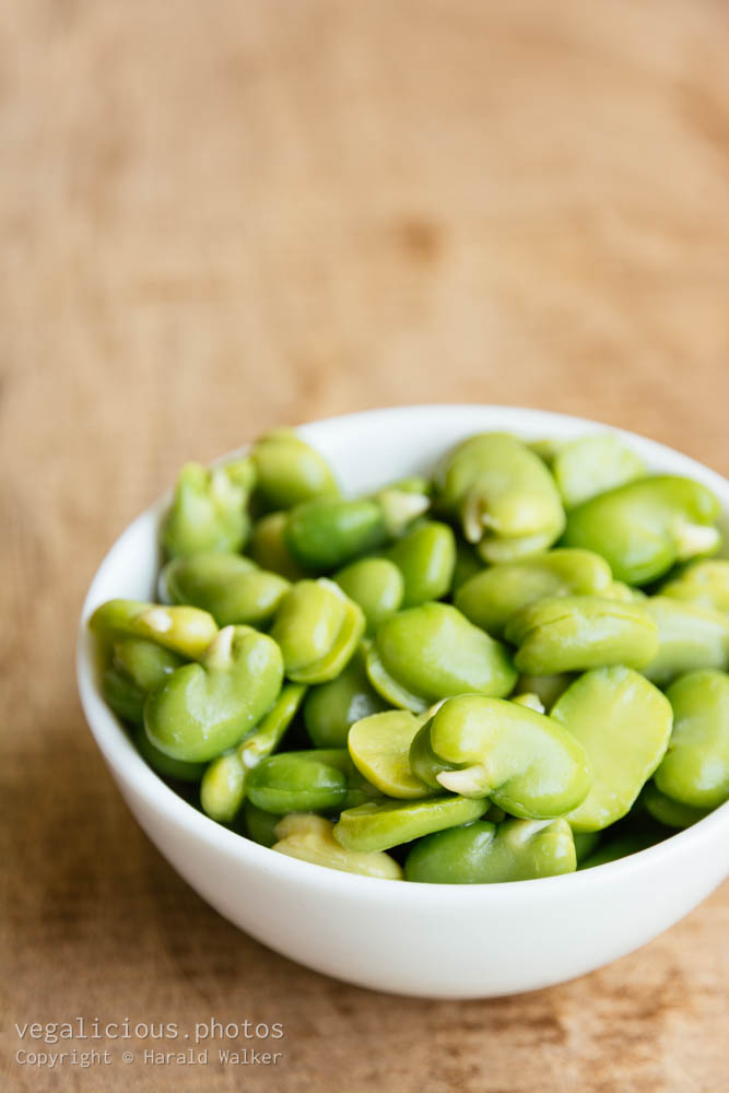 Stock photo of Vicia faba