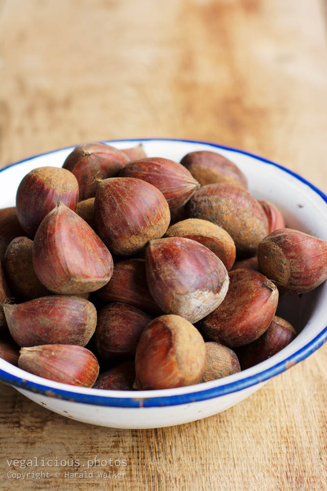 Stock photo of Edible chestnuts