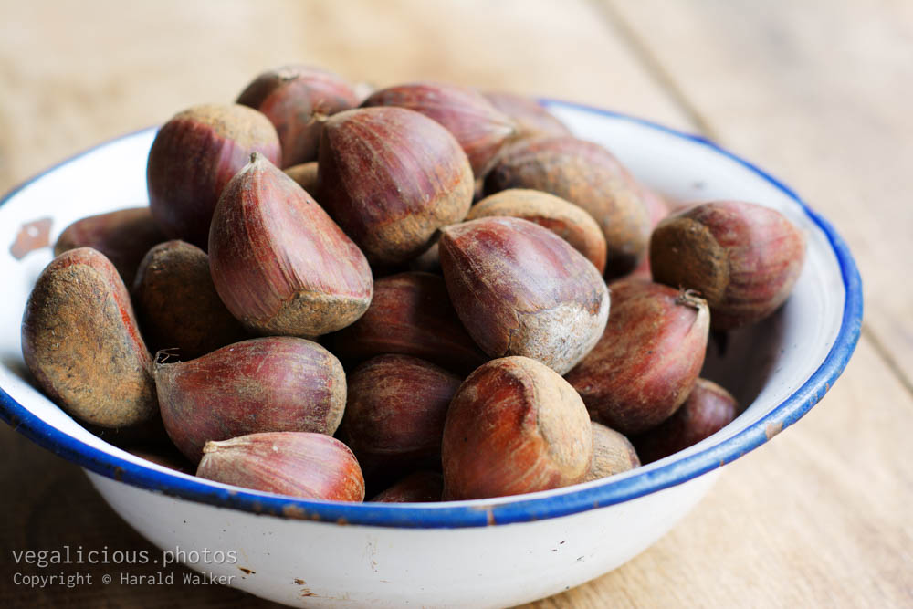 Stock photo of Edible chestnuts